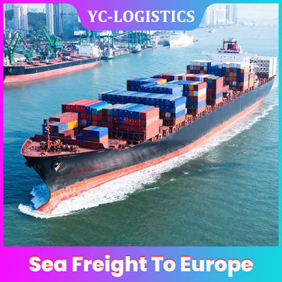 Международных 6 до 7 перевозка моря дней DDP DDU к Европе от Китая