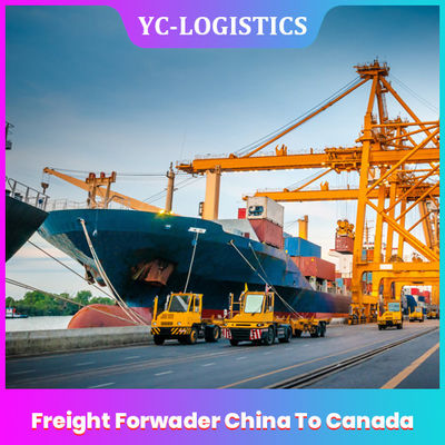 ОБМАНЫВАЙТЕ EXW Китай к товароотправителю перевозки Канады от Шэньчжэня ко всемирному, обслуживания препровождения перевозки моря DDU