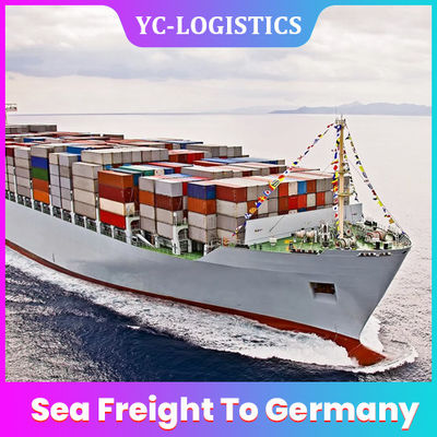 Компания по транспортировке грузов перевозки моря DDP