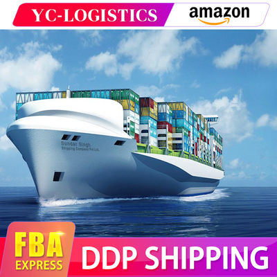 Агент обслуживания контейнера от Китая к доставке перевозки океана США международной