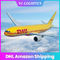 Доставка воздуха доставки LCL DHL дня, дверь DDP DHL к обслуживанию двери международному
