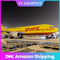 Дверь к доставке DHL Амазонки груза двери срочной от Китая к обслуживанию Африки самому лучшему