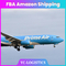 Дверь перевозимого самолетами груза к экспедитору FBA Амазонки обслуживания доставки двери к США